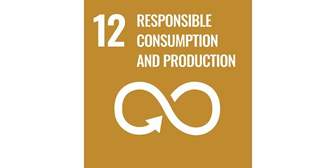 Goal 12: Sustainable Consumption and Production